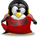 Penguin pingouin pinguino 162